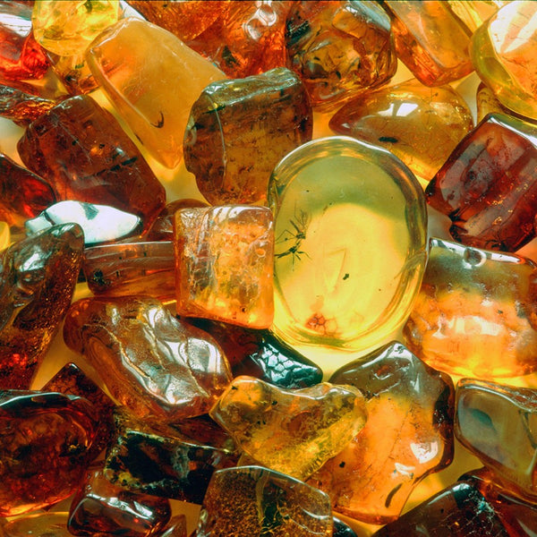Top 15 Therapeutic Health Benefits of Amber